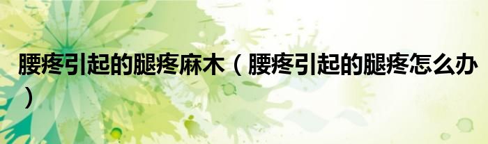 腰疼引起的腿疼麻木(腰疼引起的腿疼怎么办)