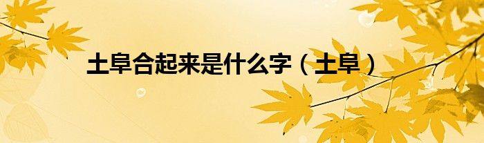 土阜合起来是什么字（土阜）