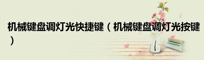 机械键盘调灯光快捷键（机械键盘调灯光按键）