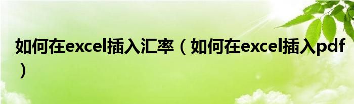 如何在excel插入汇率（如何在excel插入pdf）