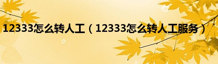 12333怎么转人工（12333怎么转人工服务）