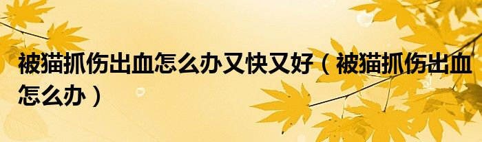 被猫抓伤出血怎么办又快又好（被猫抓伤出血怎么办）