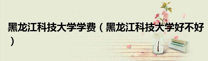 黑龙江科技大学学费（黑龙江科技大学好不好）
