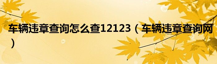 车辆违章查询怎么查12123（车辆违章查询网）