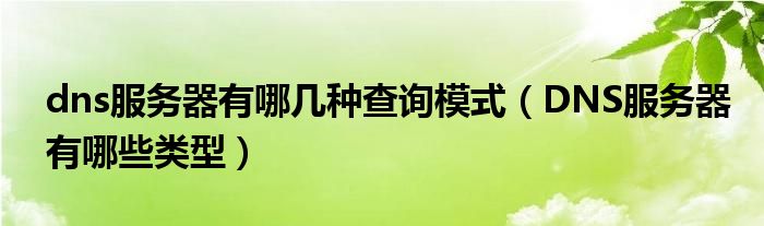 dns服务器有哪几种查询模式（DNS服务器有哪些类型）