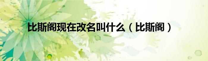 比斯阁现在改名叫什么（比斯阁）