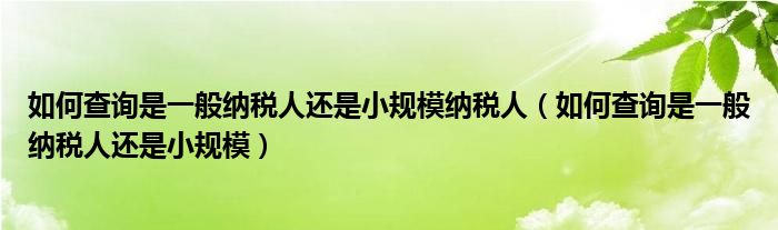如何查询是一般纳税人还是小规模纳税人（如何查询是一般纳税人还是小规模）