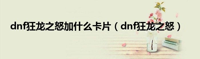 dnf狂龙之怒加什么卡片（dnf狂龙之怒）