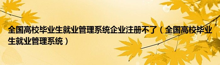 全国高校毕业生就业管理系统企业注册不了（全国高校毕业生就业管理系统）