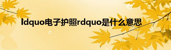 ldquo电子护照rdquo是什么意思