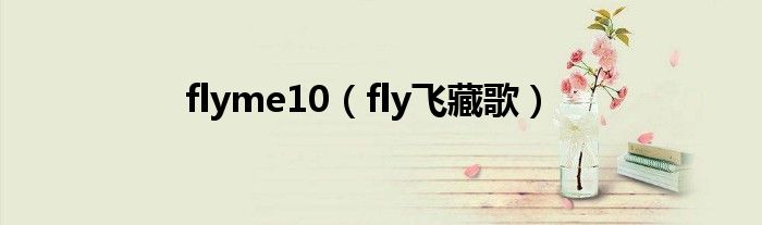 flyme10（fly飞藏歌）