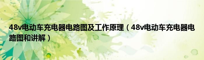 48v电动车充电器电路图及工作原理（48v电动车充电器电路图和讲解）