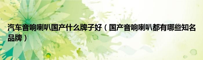 汽车音响喇叭国产什么牌子好（国产音响喇叭都有哪些知名品牌）