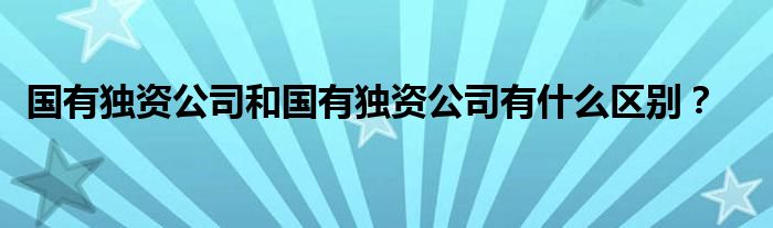 国有独资公司和国有独资公司有什么区别？