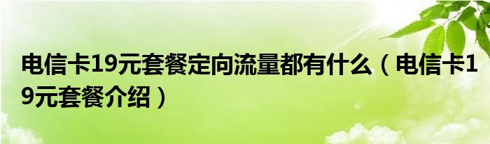 电信卡19元套餐定向流量都有什么（电信卡19元套餐介绍）
