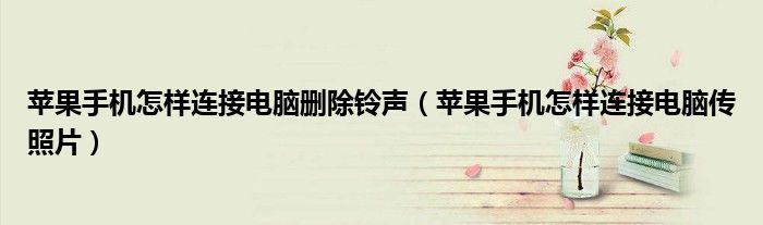 苹果手机怎样连接电脑删除铃声（苹果手机怎样连接电脑传照片）