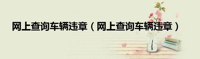 网上查询车辆违章（网上查询车辆违章）