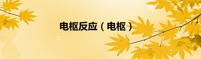 电枢反应（电枢）