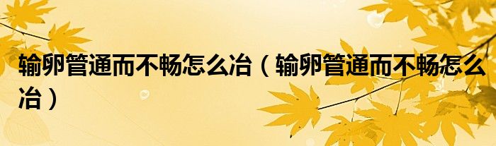 输卵管通而不畅怎么冶（输卵管通而不畅怎么冶）