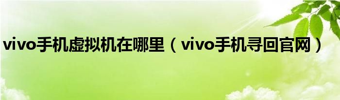 vivo手机虚拟机在哪里（vivo手机寻回官网）