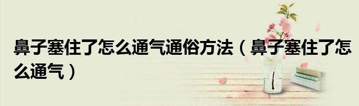 鼻子塞住了怎么通气通俗方法（鼻子塞住了怎么通气）