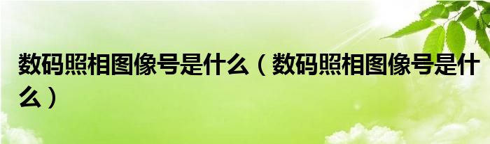 数码照相图像号是什么（数码照相图像号是什么）