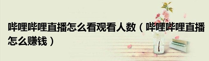 哔哩哔哩直播怎么看观看人数（哔哩哔哩直播怎么赚钱）