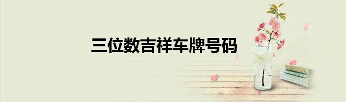 三位数吉祥车牌号码