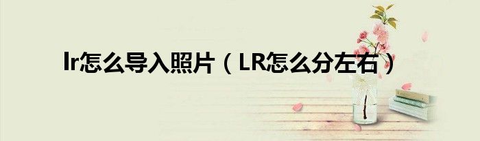 lr怎么导入照片（LR怎么分左右）
