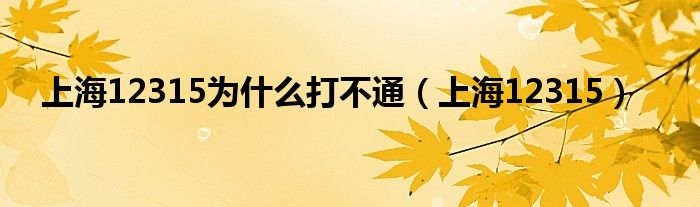 上海12315为什么打不通（上海12315）