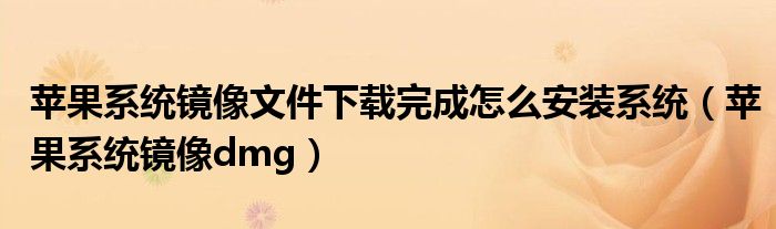 苹果系统镜像文件下载完成怎么安装系统（苹果系统镜像dmg）