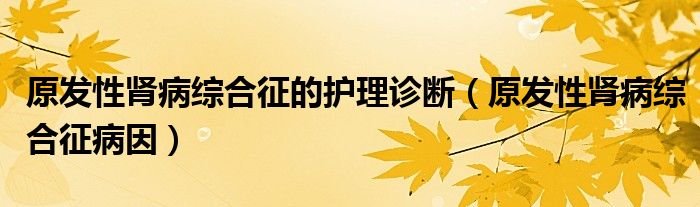 原发性肾病综合征的护理诊断（原发性肾病综合征病因）