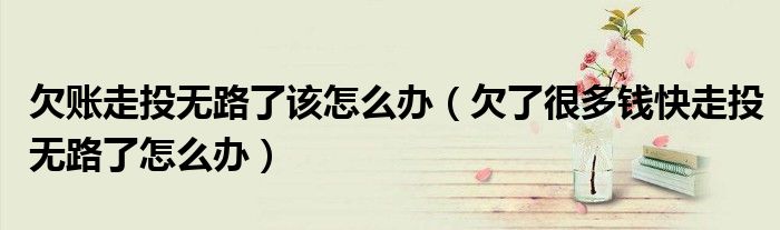欠账走投无路了该怎么办（欠了很多钱快走投无路了怎么办）