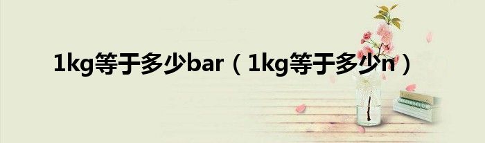 1kg等于多少bar（1kg等于多少n）