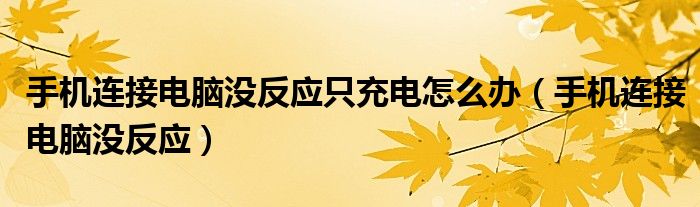 手机连接电脑没反应只充电怎么办（手机连接电脑没反应）