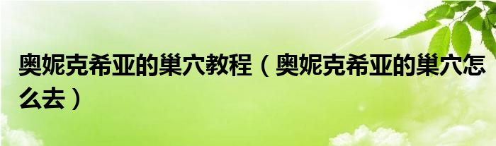 奥妮克希亚的巢穴教程（奥妮克希亚的巢穴怎么去）