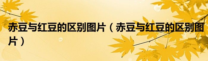 赤豆与红豆的区别图片（赤豆与红豆的区别图片）