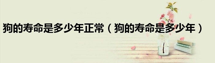 狗的寿命是多少年正常（狗的寿命是多少年）