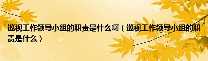 巡视工作领导小组的职责是什么啊（巡视工作领导小组的职责是什么）