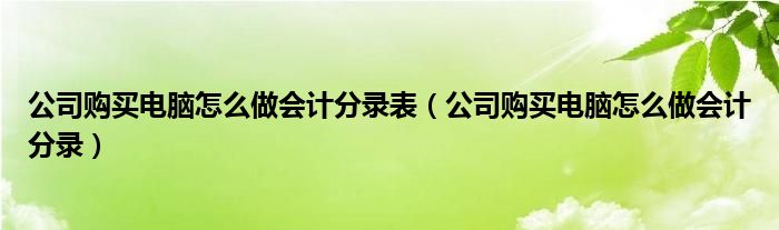 公司购买电脑怎么做会计分录表（公司购买电脑怎么做会计分录）