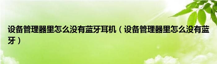 设备管理器里怎么没有蓝牙耳机（设备管理器里怎么没有蓝牙）