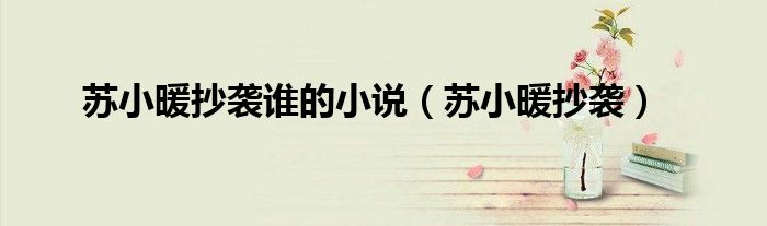苏小暖抄袭谁的小说（苏小暖抄袭）