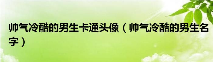 帅气冷酷的男生卡通头像（帅气冷酷的男生名字）