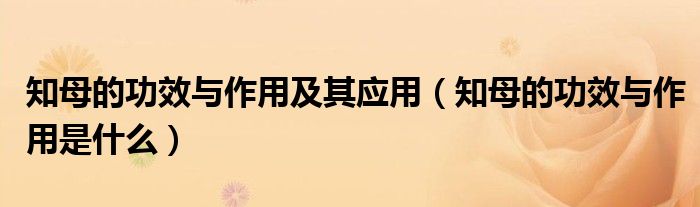 知母的功效与作用及其应用（知母的功效与作用是什么）