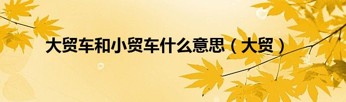 大贸车和小贸车什么意思（大贸）