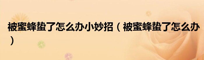 被蜜蜂蛰了怎么办小妙招（被蜜蜂蛰了怎么办）
