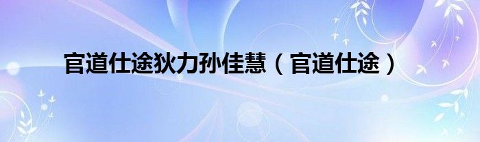官道仕途狄力孙佳慧（官道仕途）