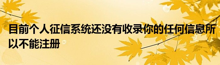 目前个人征信系统还没有收录你的任何信息所以不能注册