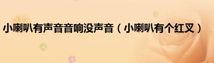 小喇叭有声音音响没声音（小喇叭有个红叉）