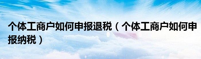 个体工商户如何申报退税（个体工商户如何申报纳税）